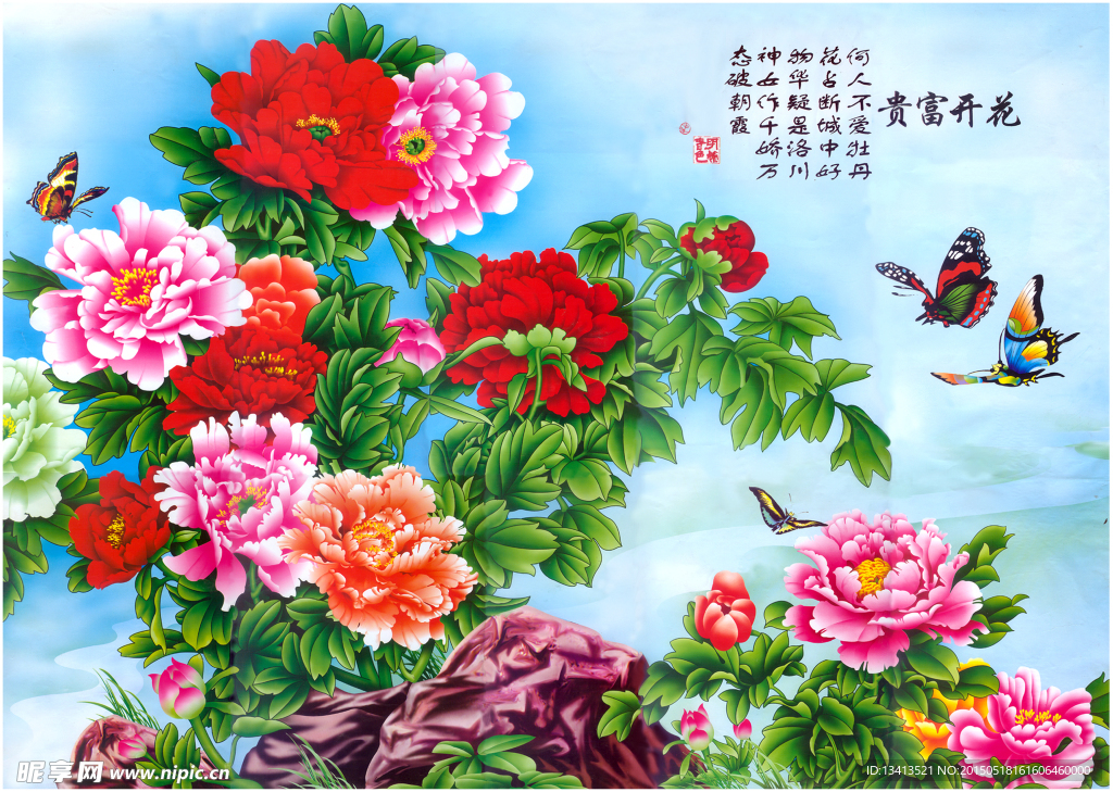 牡丹 花开富贵