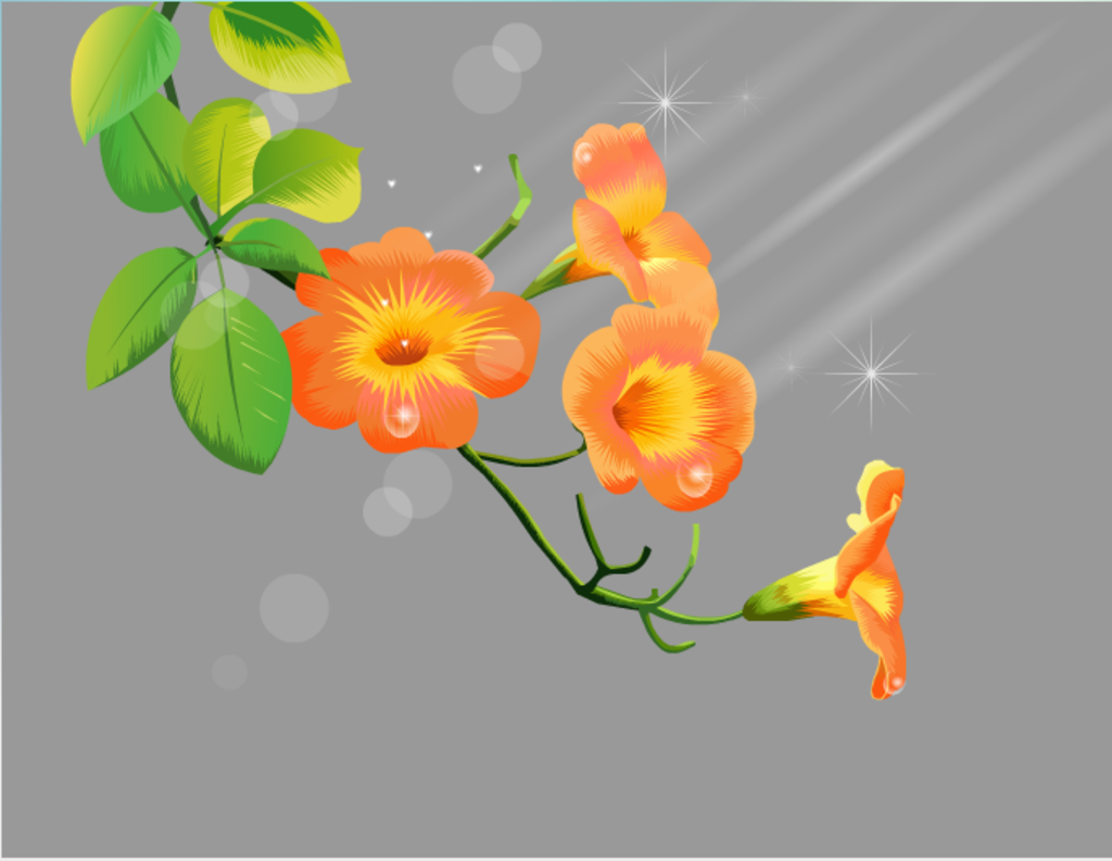 郁金香flash植物动画