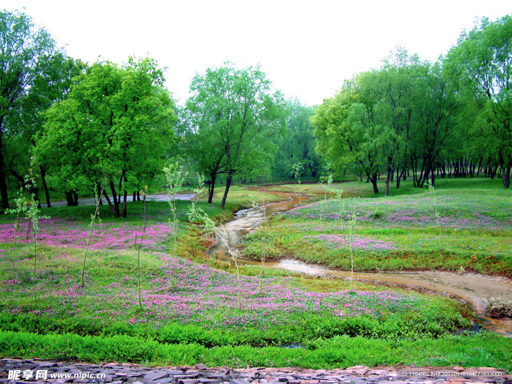龙山湖湿地公园