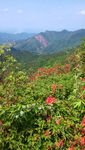山顶