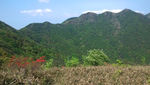 半山腰