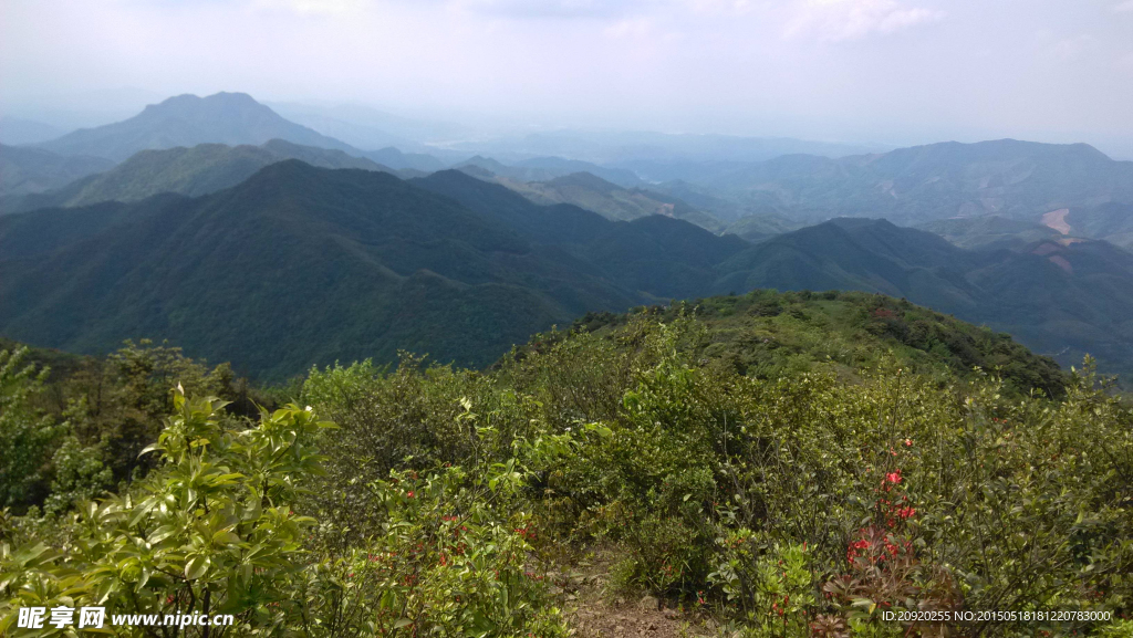 山顶