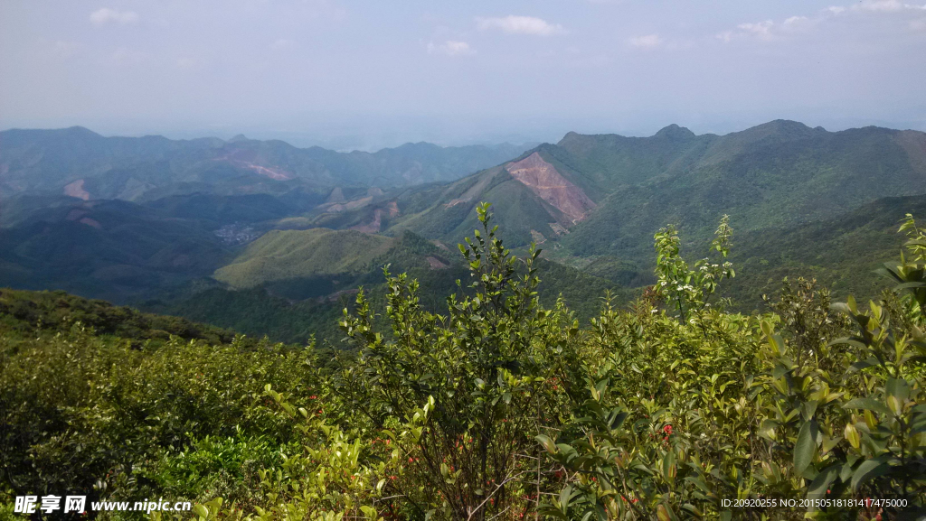 青山