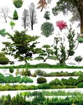 花草树林素材图片