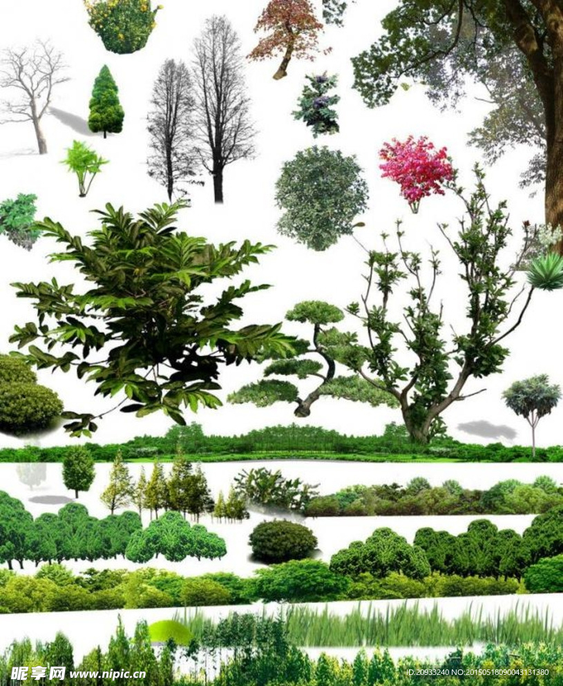 花草树林素材图片