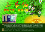 山茶油海报