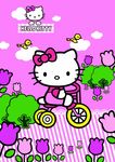Hello Kitty  猫