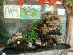 鱼缸水景