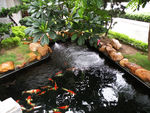 水景园林