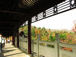 岳麓山