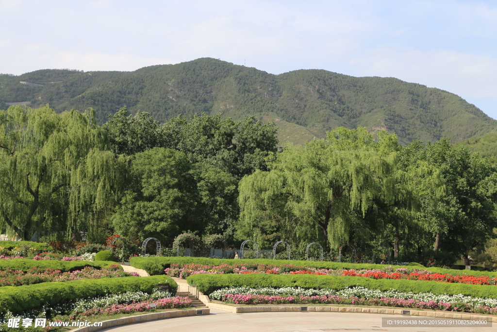 绿化景观