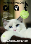 猫咪海报