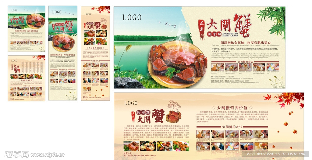 阳澄湖大闸蟹