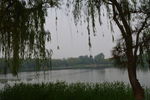 风景如画
