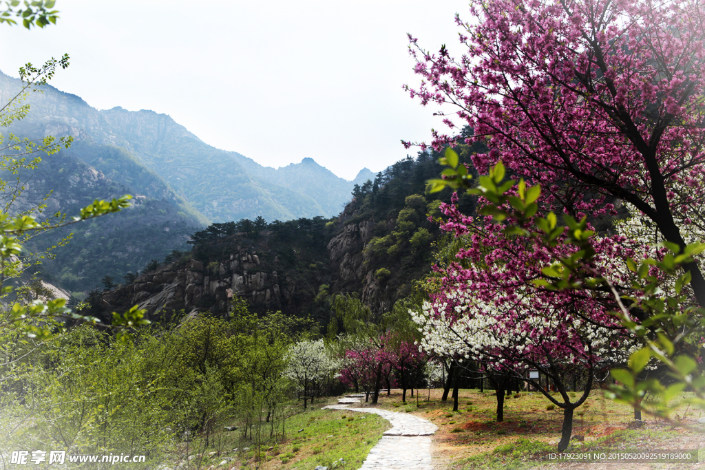 泰山桃花峪
