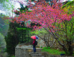 泰山桃花峪