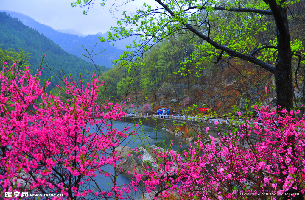 泰山桃花峪