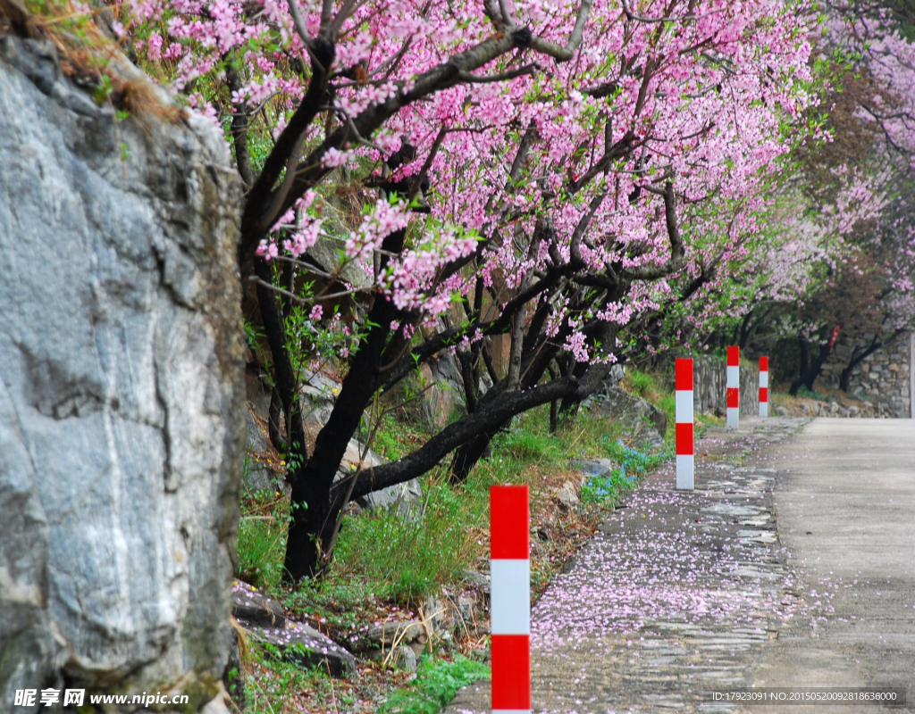泰山桃花峪