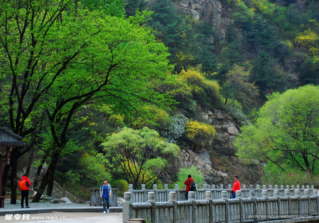 泰山桃花源