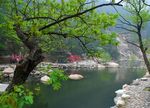 泰山桃花源