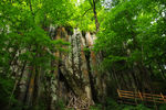 长白山风光