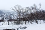 长白山雪景