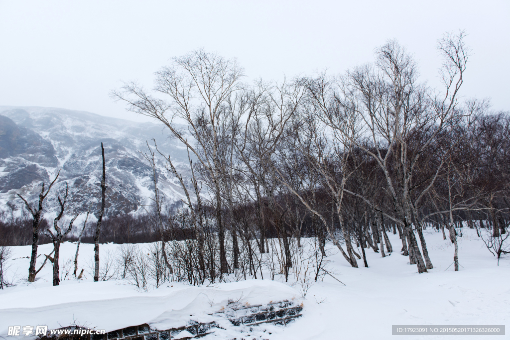 长白山雪景