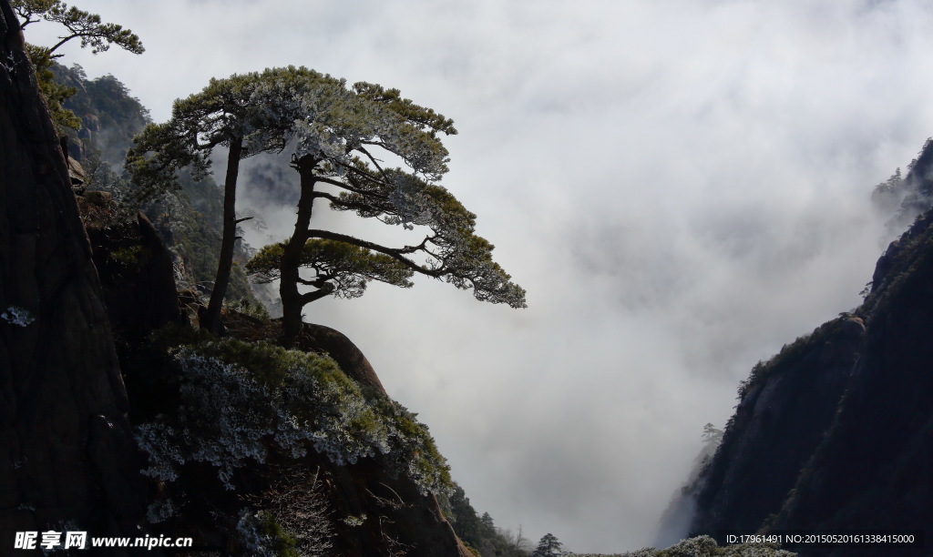 唯美黄山