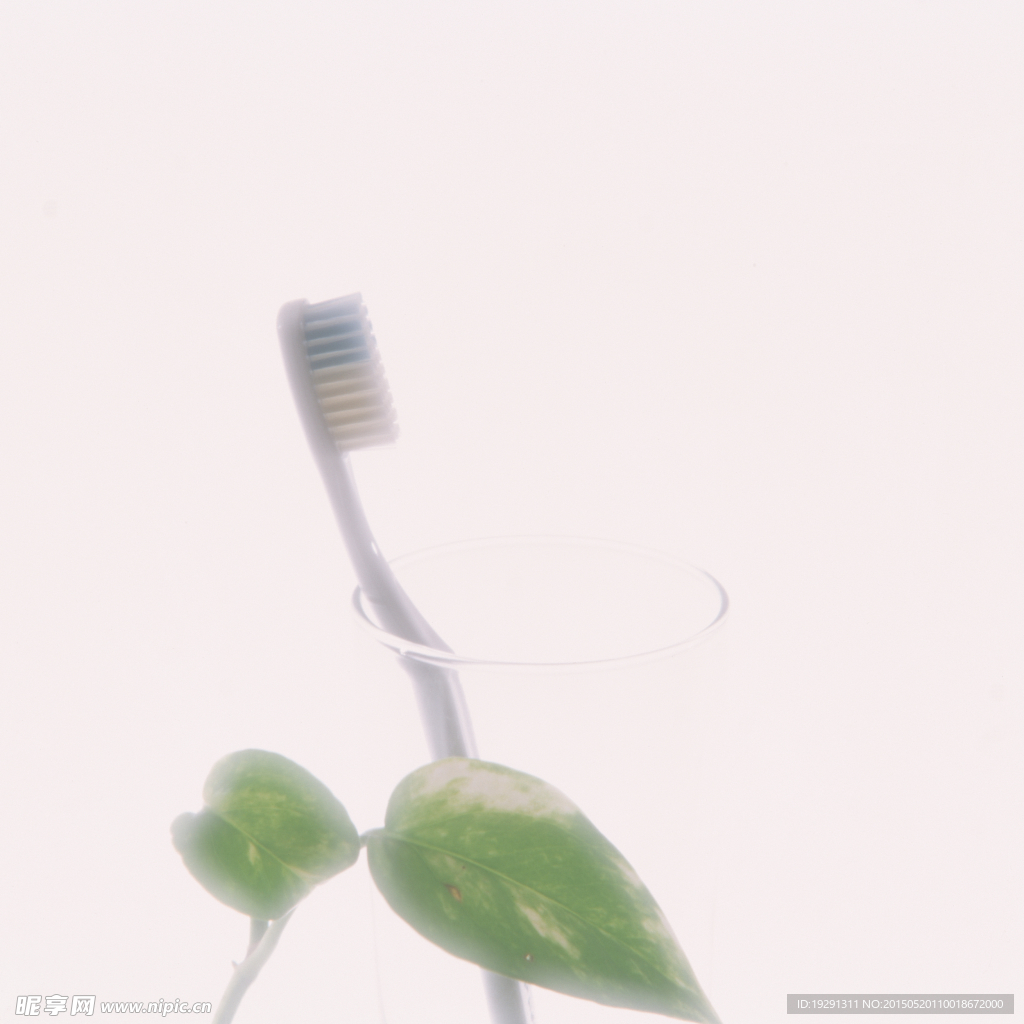 牙刷