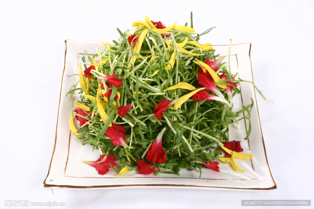 草尖吻鲜花
