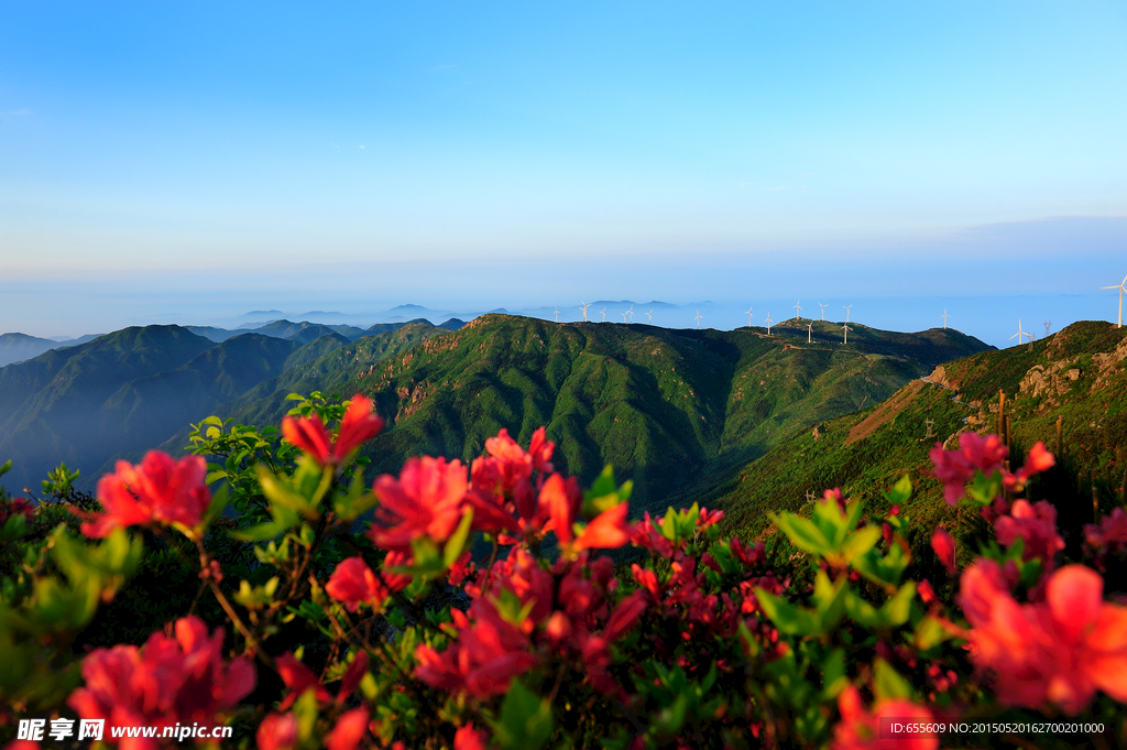 括苍山