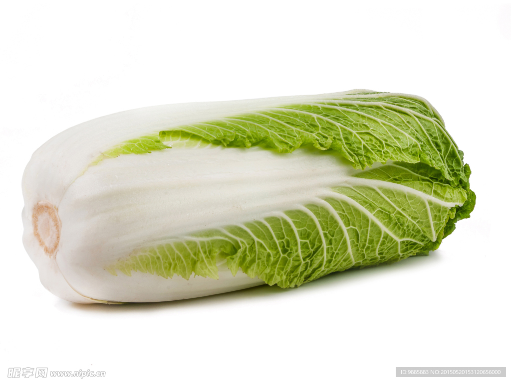 白菜