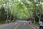 道路