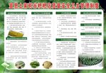 包谷粑粑质量安全卫生管理制度