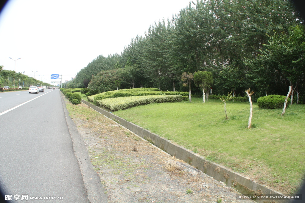 公路绿化