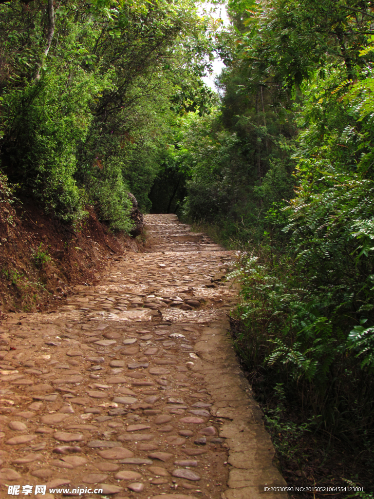 下山小路