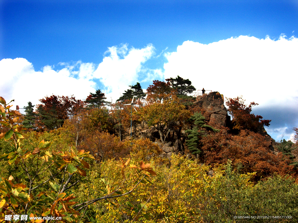 五花山