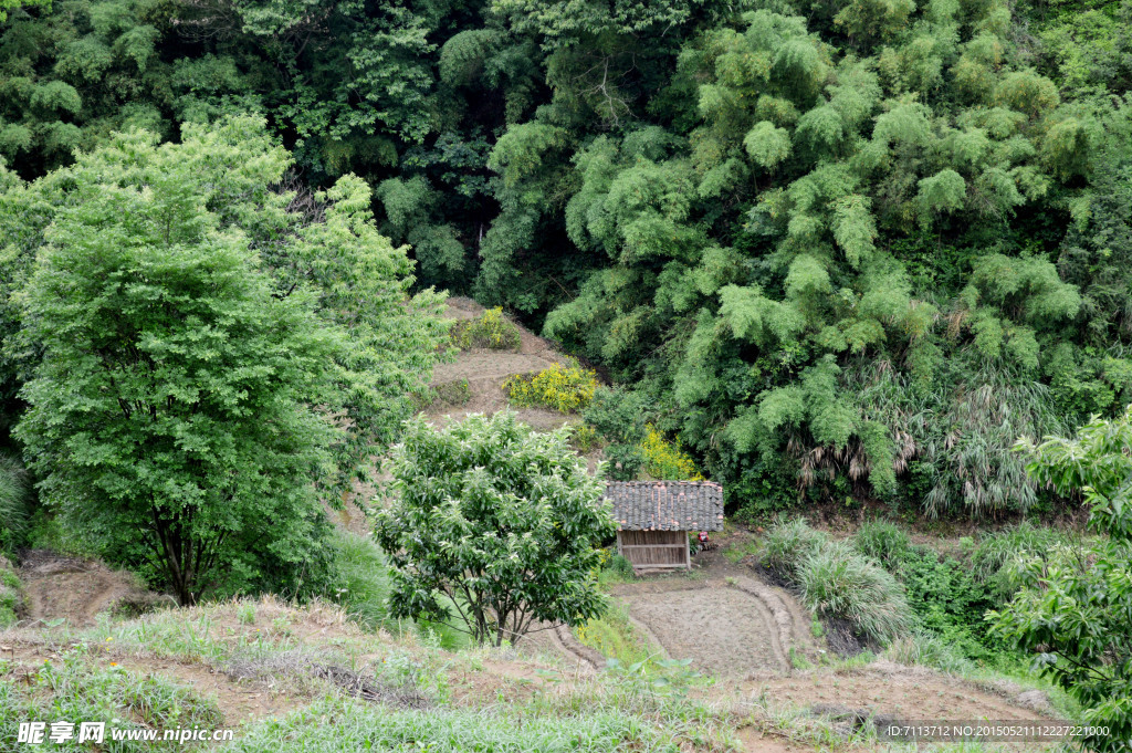 自然风景