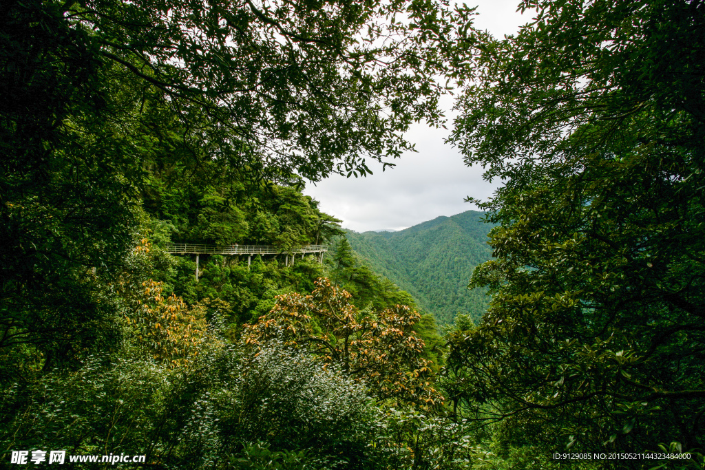 井岗山笔架山