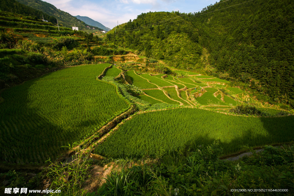 三清山山脚农田