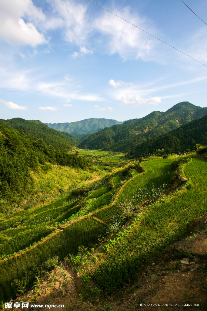 三清山山脚农田