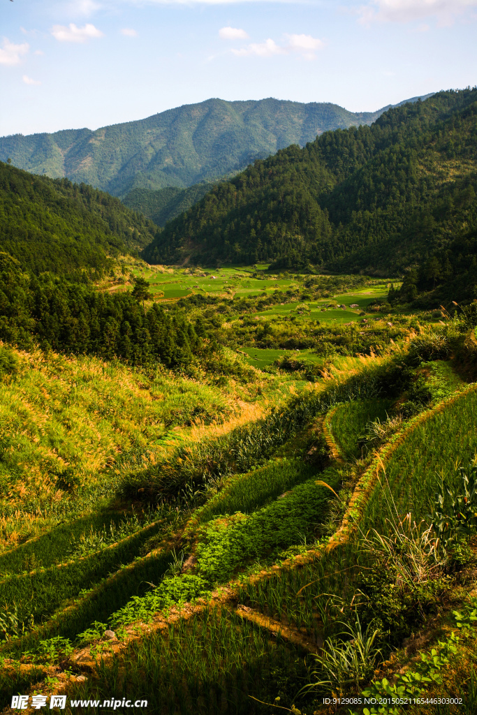 三清山山脚农田