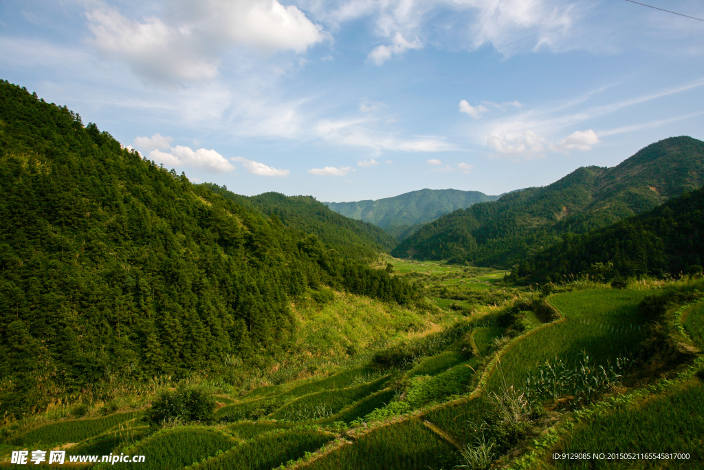 三清山山脚农田