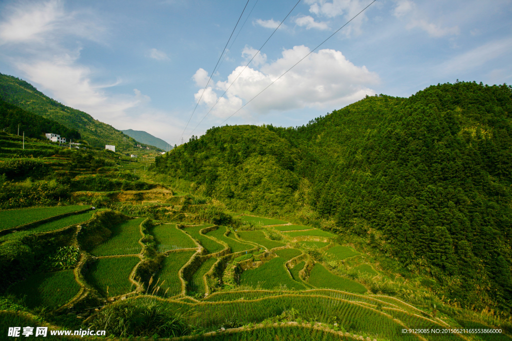 三清山山脚农田