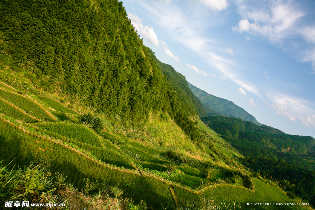 三清山山脚农田