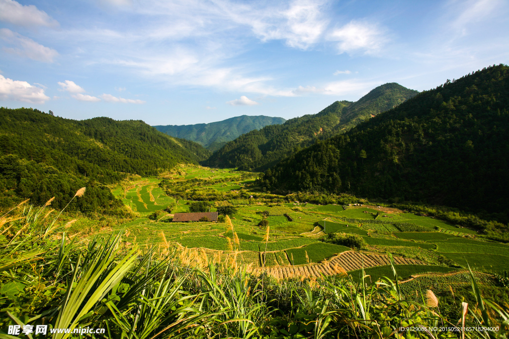 三清山山脚农田