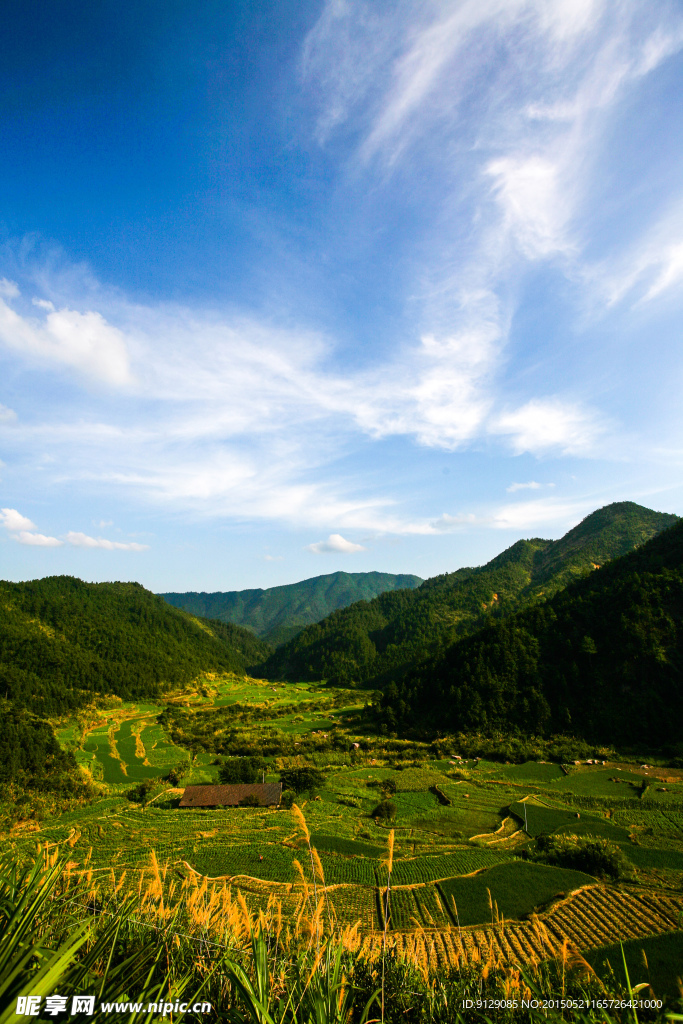 三清山山脚农田