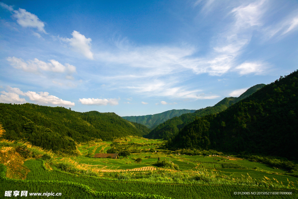 三清山山脚农田