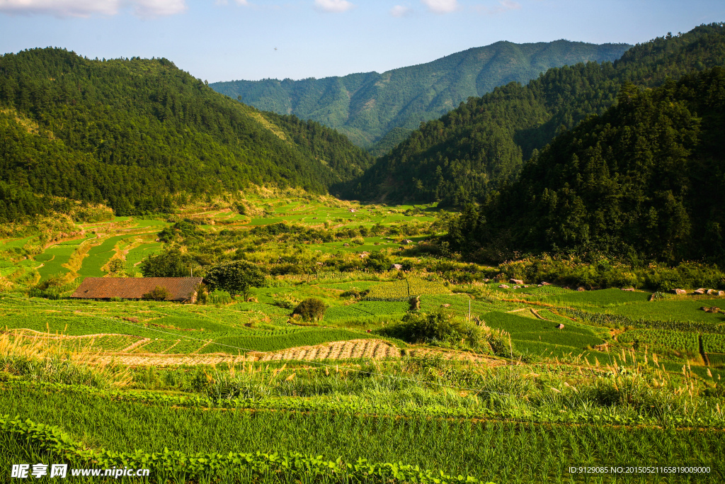 三清山山脚农田