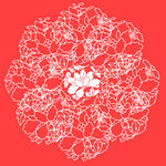 红色花边底纹背景图片